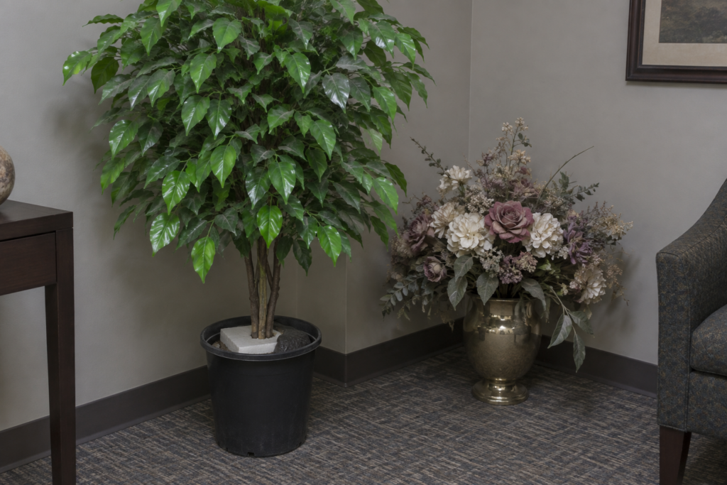 Cheap artificial ficus in a visible plastic nursery pot with foam base, dusty glossy leaves and faded faux flowers